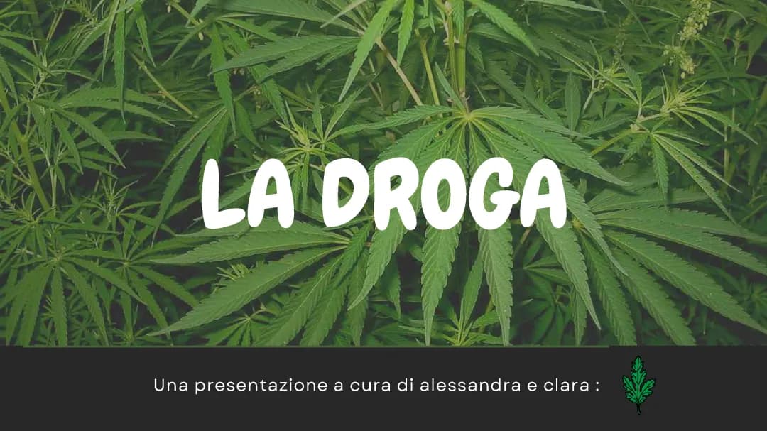 La droga 