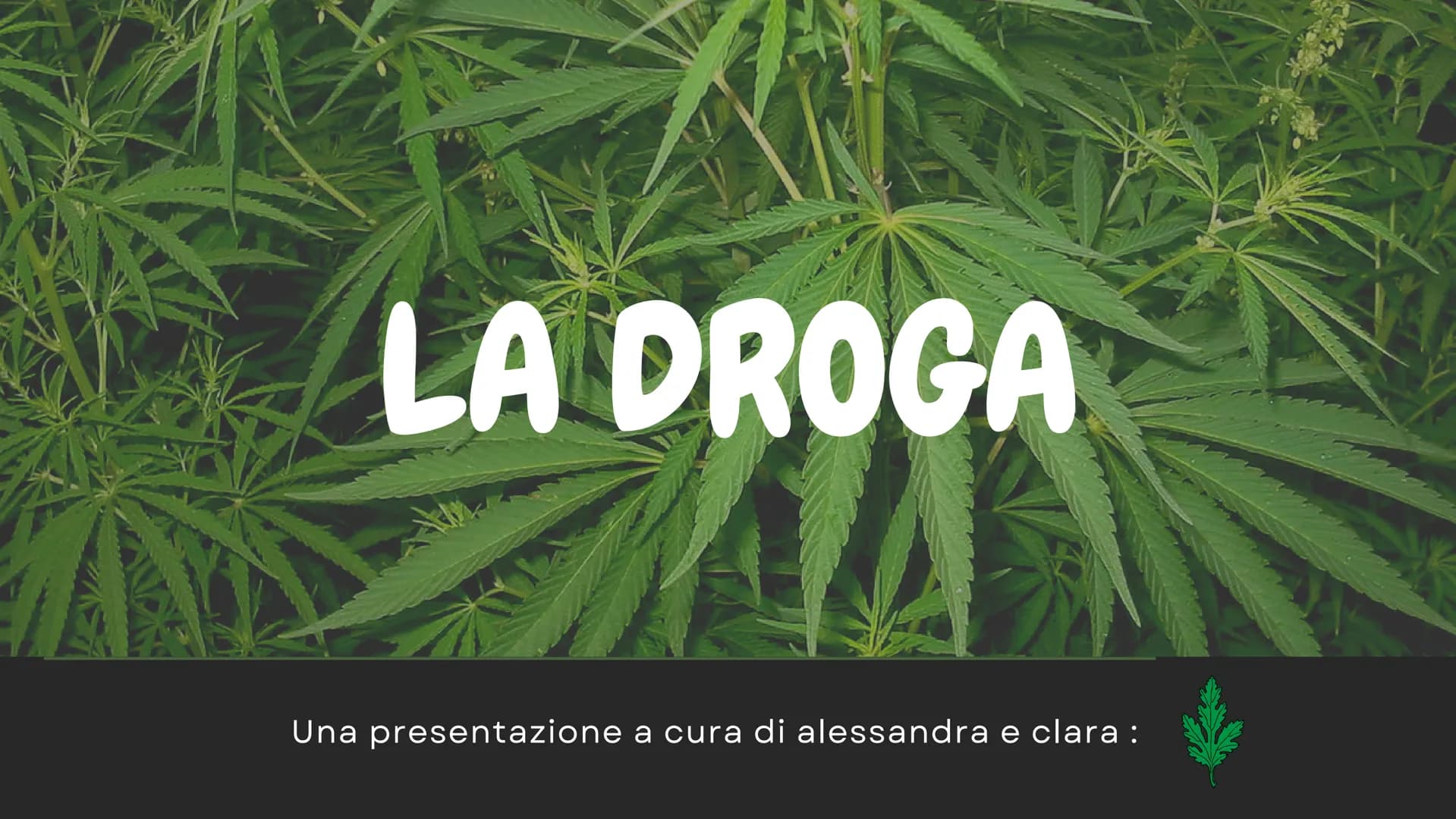 LA DROGA
Una presentazione a cura di alessandra e clara: LA DROGA
TU LA CONSUMI E
LEI TI CONSUMA
droga
Volevo la liberta ma mi hanno dato la