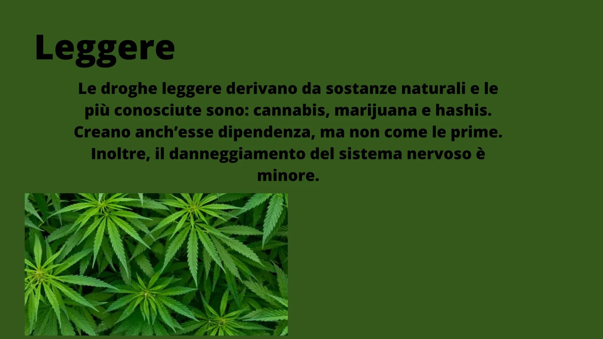 LA DROGA
Una presentazione a cura di alessandra e clara: LA DROGA
TU LA CONSUMI E
LEI TI CONSUMA
droga
Volevo la liberta ma mi hanno dato la