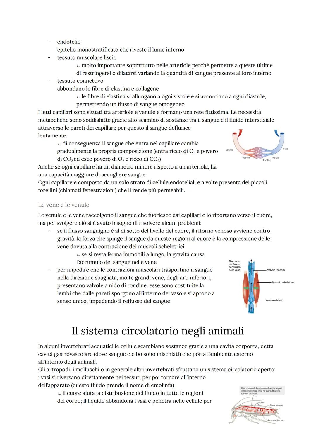 L'apparato cardiovascolare
L'apparato cardiovascolare trasporta nel sangue tutti i materiali da e verso tutte le regioni
corporee per assicu