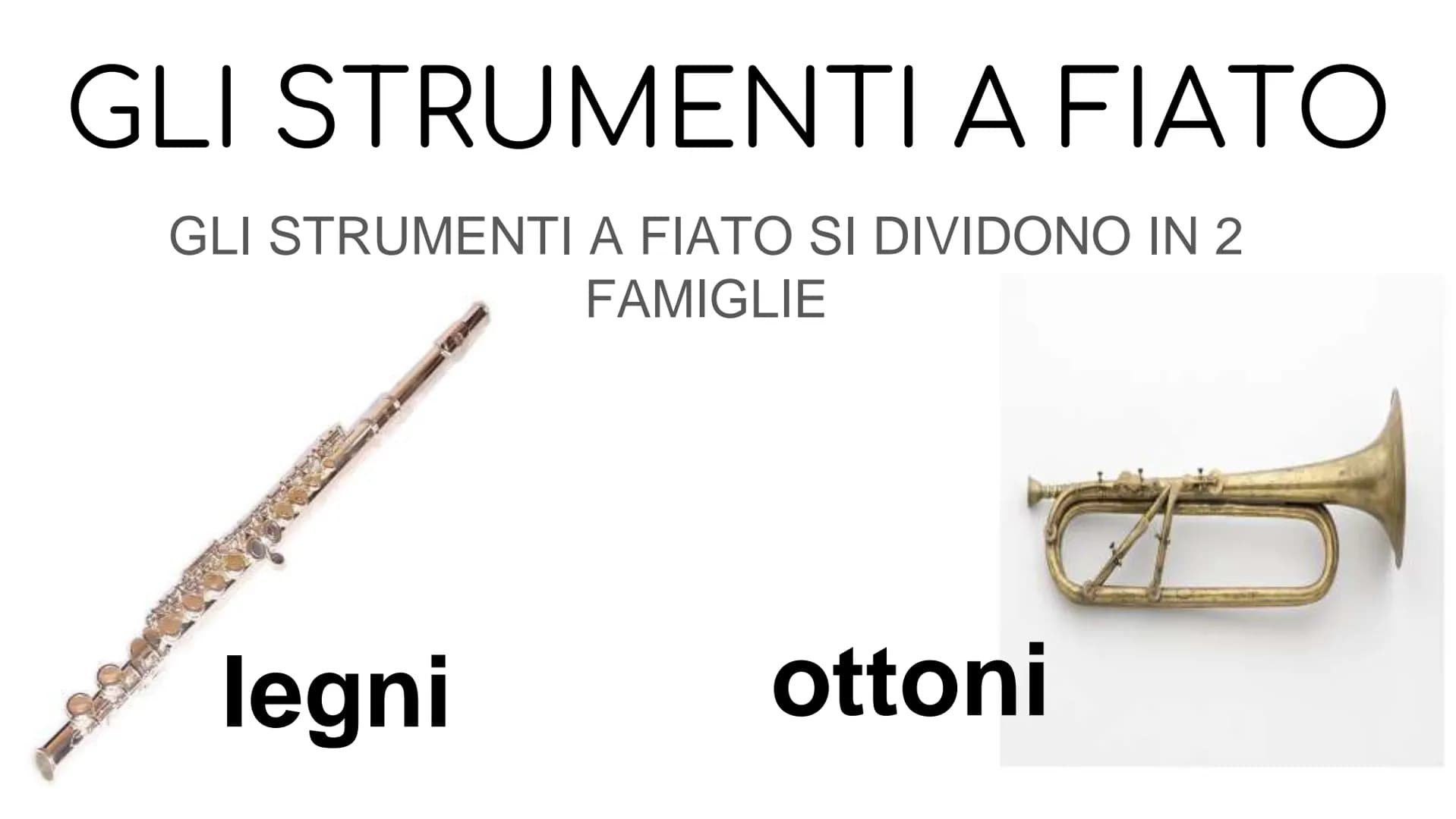 GLI STRUMENTI A FIATO
GLI STRUMENTI A FIATO SI DIVIDONO IN 2
FAMIGLIE
legni
ottoni GLI STRUMENTI
COMPONGONO
CHE
LE FAMIGLIE
I LEGNI: flauto 