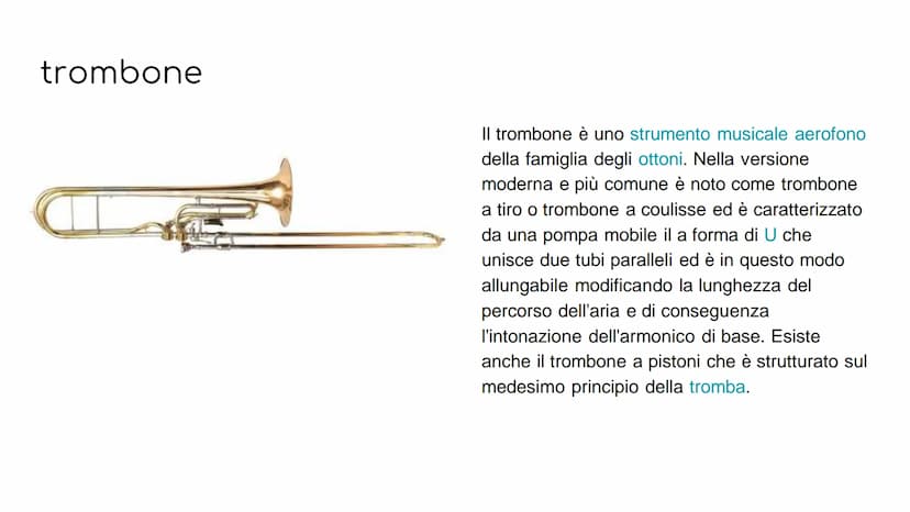 GLI STRUMENTI A FIATO
GLI STRUMENTI A FIATO SI DIVIDONO IN 2
FAMIGLIE
legni
ottoni GLI STRUMENTI
COMPONGONO
CHE
LE FAMIGLIE
I LEGNI: flauto 