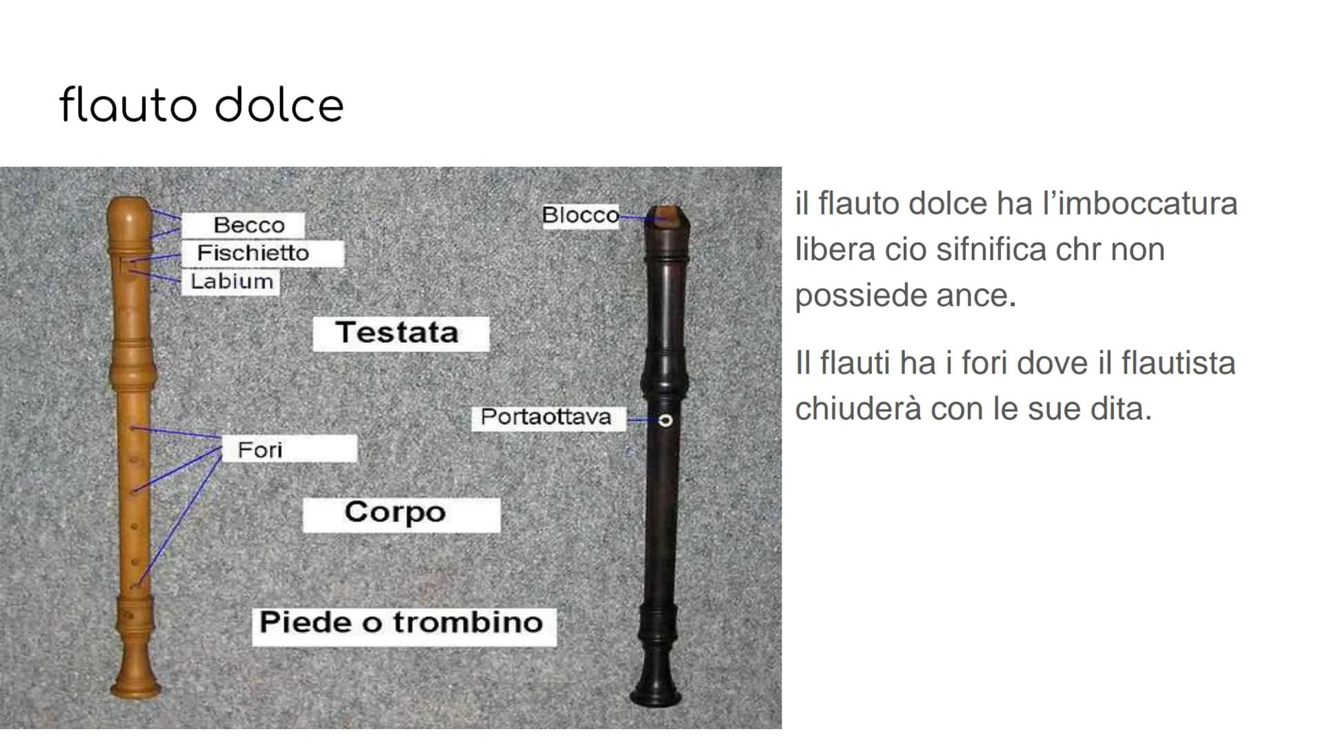 GLI STRUMENTI A FIATO
GLI STRUMENTI A FIATO SI DIVIDONO IN 2
FAMIGLIE
legni
ottoni GLI STRUMENTI
COMPONGONO
CHE
LE FAMIGLIE
I LEGNI: flauto 