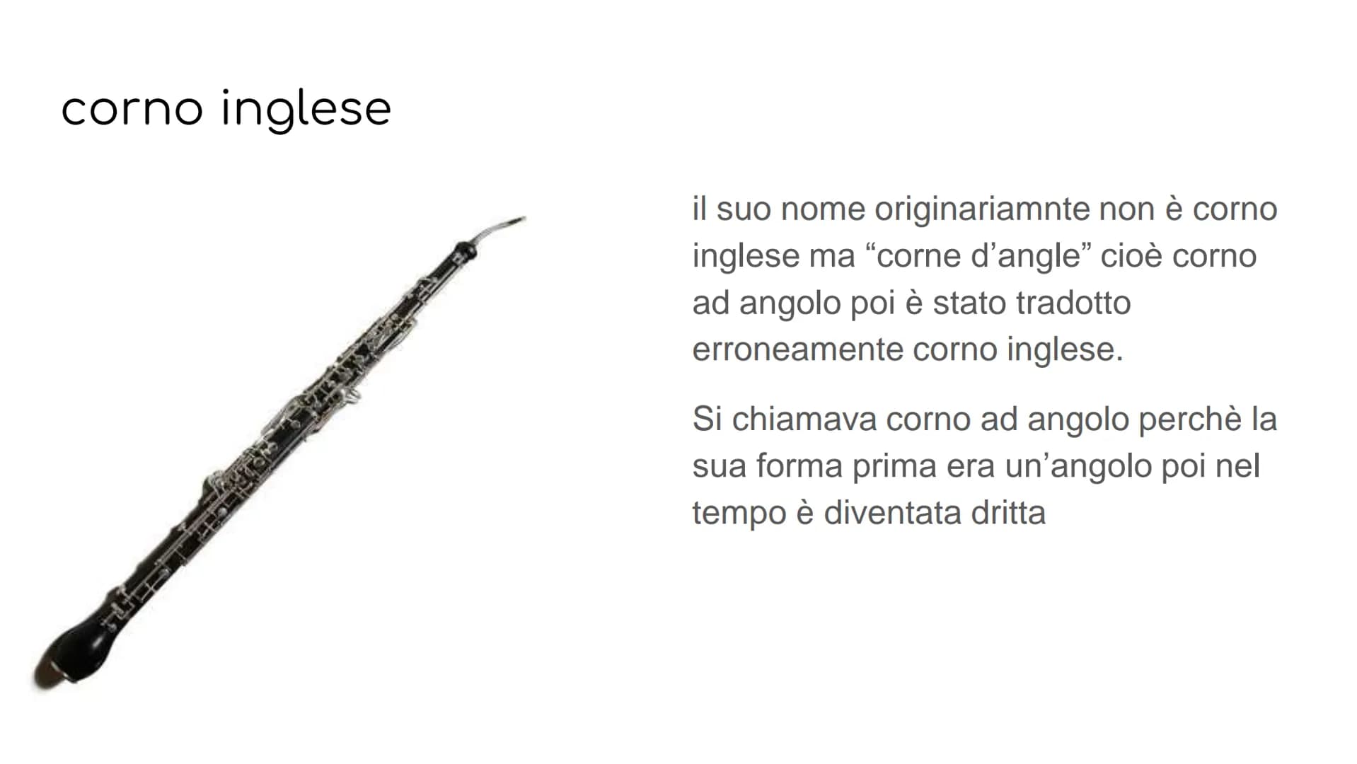 GLI STRUMENTI A FIATO
GLI STRUMENTI A FIATO SI DIVIDONO IN 2
FAMIGLIE
legni
ottoni GLI STRUMENTI
COMPONGONO
CHE
LE FAMIGLIE
I LEGNI: flauto 