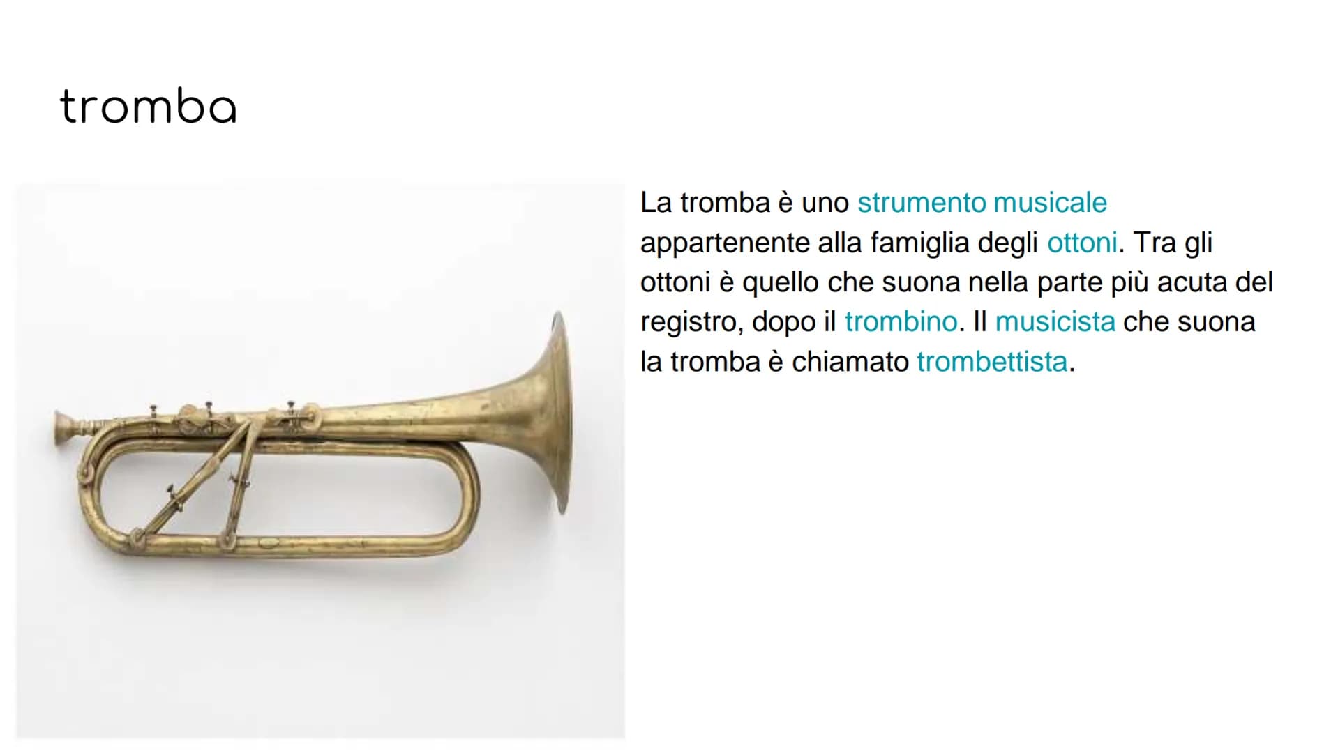 GLI STRUMENTI A FIATO
GLI STRUMENTI A FIATO SI DIVIDONO IN 2
FAMIGLIE
legni
ottoni GLI STRUMENTI
COMPONGONO
CHE
LE FAMIGLIE
I LEGNI: flauto 
