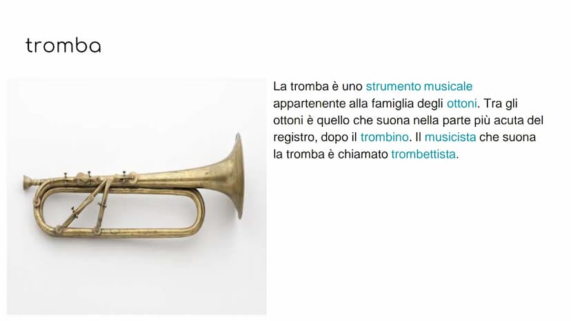 GLI STRUMENTI A FIATO
GLI STRUMENTI A FIATO SI DIVIDONO IN 2
FAMIGLIE
legni
ottoni GLI STRUMENTI
COMPONGONO
CHE
LE FAMIGLIE
I LEGNI: flauto 