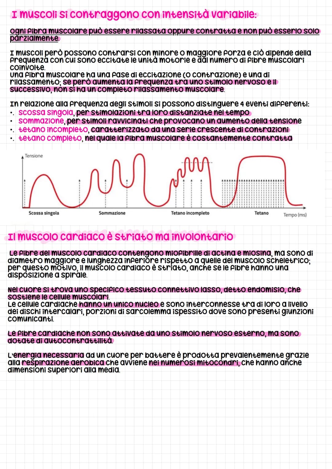 Il Sistema muscolare
Il Sistema muscolare è l'insieme dei muscoli, formati da cellule allungate e contrattili
che possono variare la propria