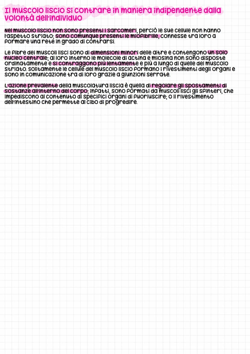 Il Sistema muscolare
Il Sistema muscolare è l'insieme dei muscoli, formati da cellule allungate e contrattili
che possono variare la propria