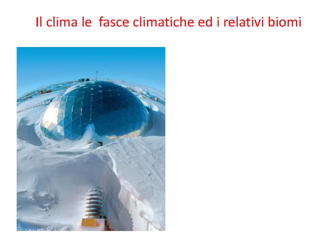Fasce Climatiche della Terra: Scopri Le 5 Fasce e I Biomi
