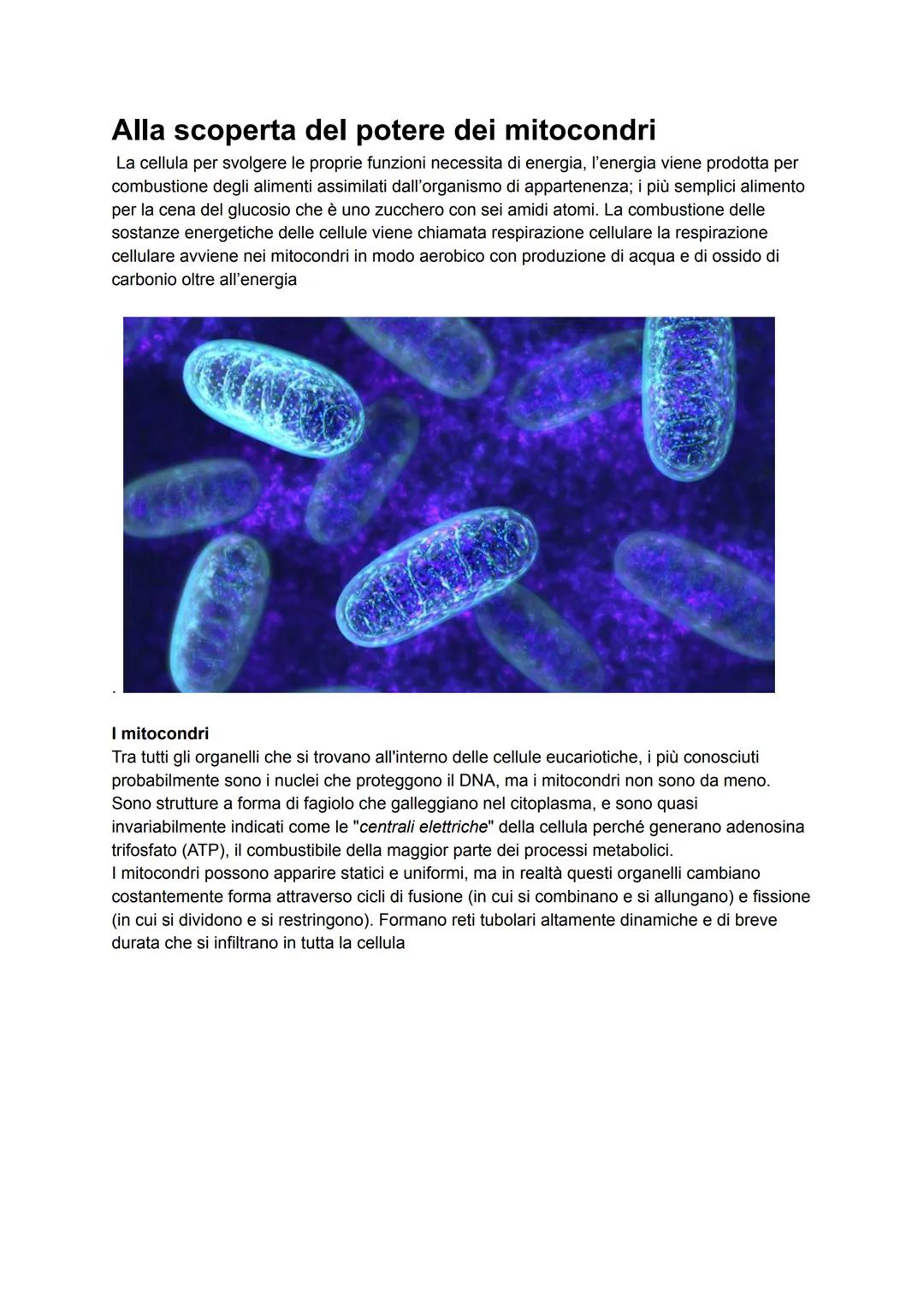 Alla scoperta del potere dei mitocondri
La cellula per svolgere le proprie funzioni necessita di energia, l'energia viene prodotta per
combu