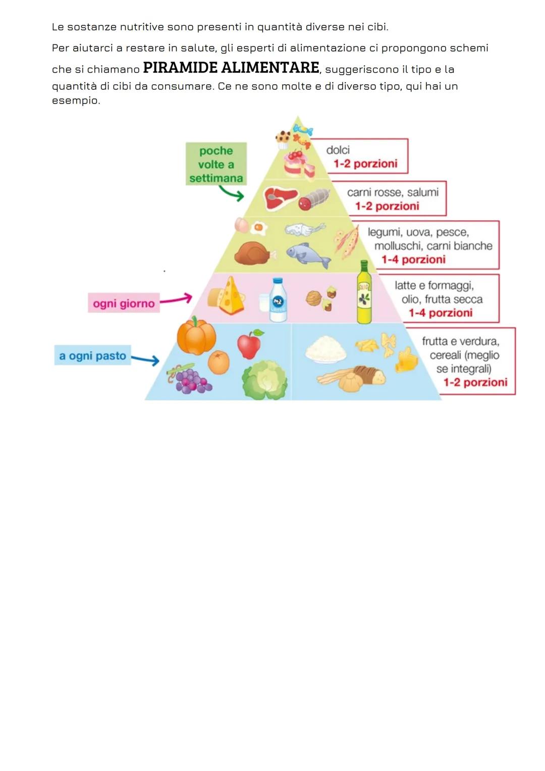# I DENTI

L'uomo è onnivoro e la sua dentatura oggi è molto diversa da quella dell'uomo
primitivo. La sua alimentazione comprendeva sopratt