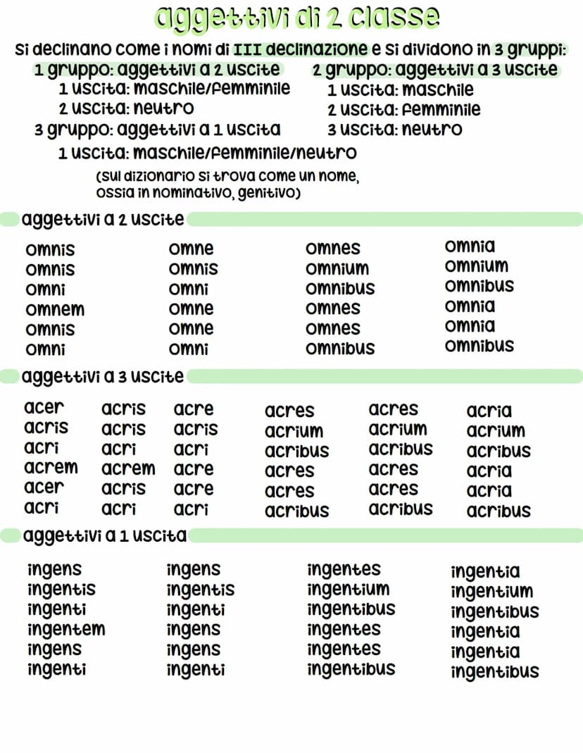 Oggettivi di 1 ClOSSE
Si declinano come i nomi di I e II declinazione ed hanno 3 uscite:
1 uscita: maschile (II declinazione = us/er)
2 usci