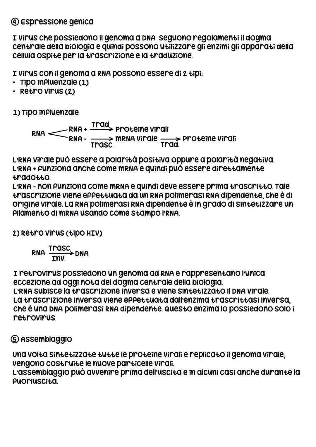 I VIRUS
I virus sono entità acellulari parassiti endocellulari obbligati, i virus al di
fuori della cellula ospite sono metabolicamente inat