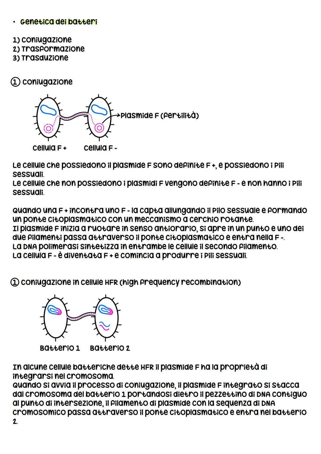 I VIRUS
I virus sono entità acellulari parassiti endocellulari obbligati, i virus al di
fuori della cellula ospite sono metabolicamente inat