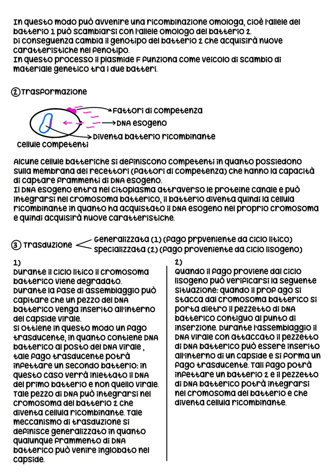 I VIRUS
I virus sono entità acellulari parassiti endocellulari obbligati, i virus al di
fuori della cellula ospite sono metabolicamente inat