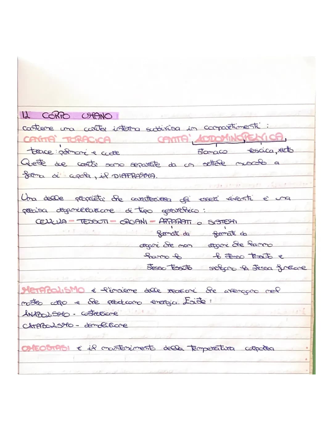 CORPO CAPANO
12
contiene uma
CANTA TORACICA
torace: pomore e code.
Queste due
coreta somo separate da
Salma di capola, il DIAFRAGOLA..
1
car