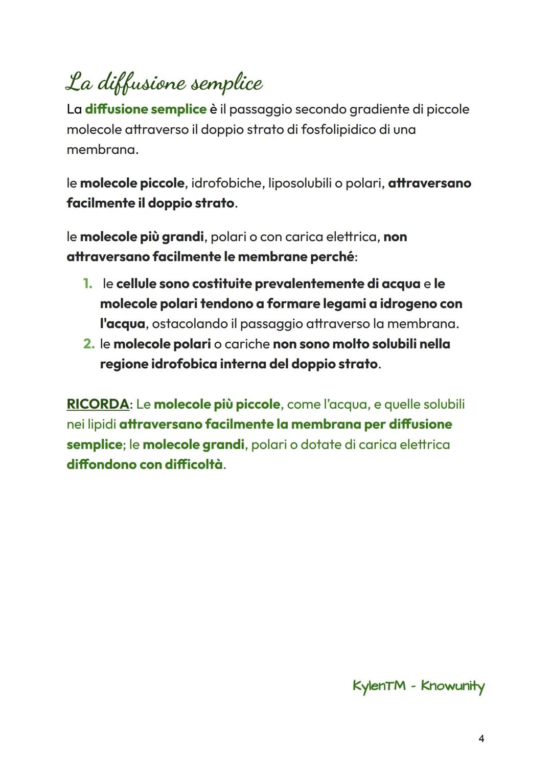le cellule scambiano sostanza con l'esterno

Le membrane cellulari sono semipermeabili

Per poter svolgere le reazioni metaboliche, le cellu