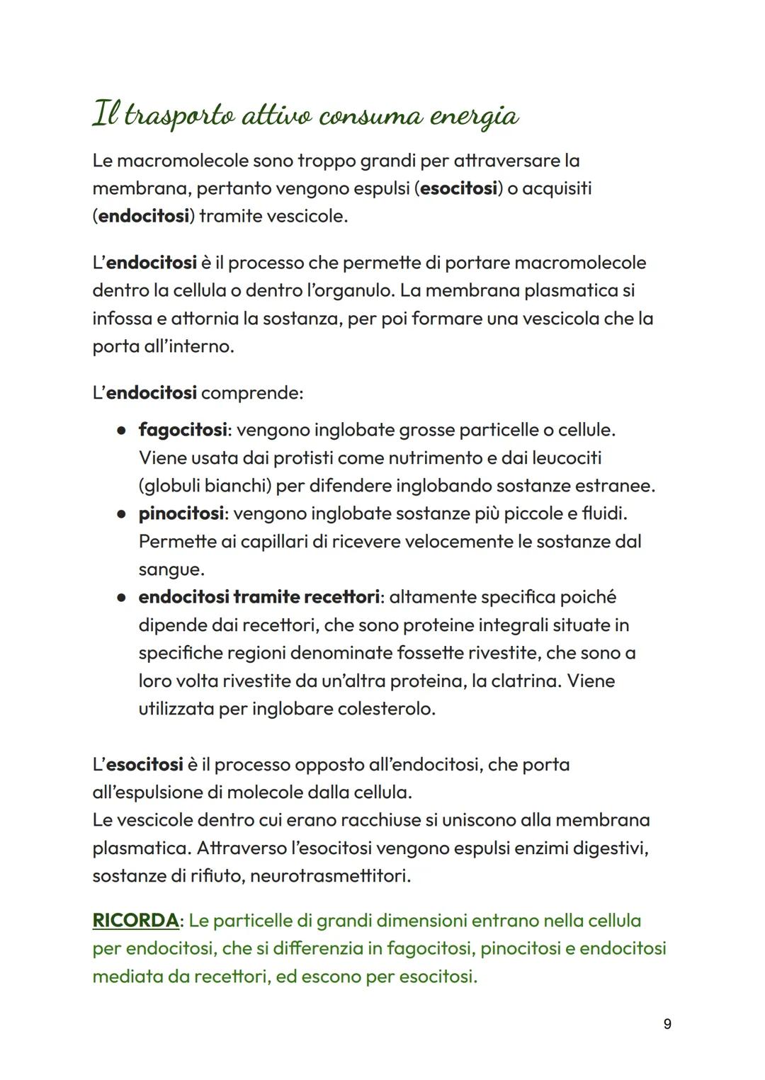 le cellule scambiano sostanza con l'esterno

Le membrane cellulari sono semipermeabili

Per poter svolgere le reazioni metaboliche, le cellu