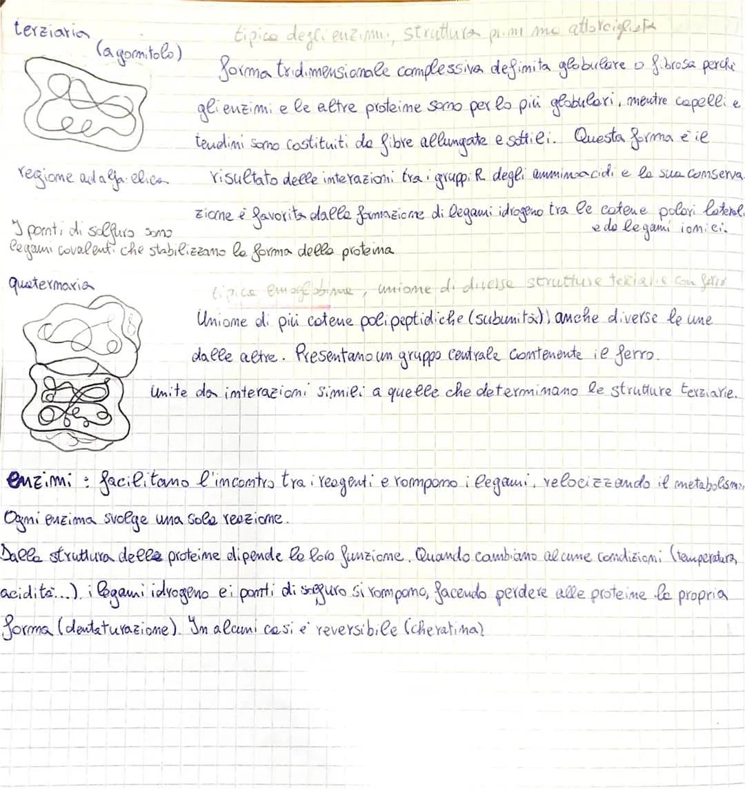 Macro molecole
Biologiche
le macro molecole biologiche sono le grandi molecole della vita. Le à più importanti
Somo carboidrati (zucchieri),