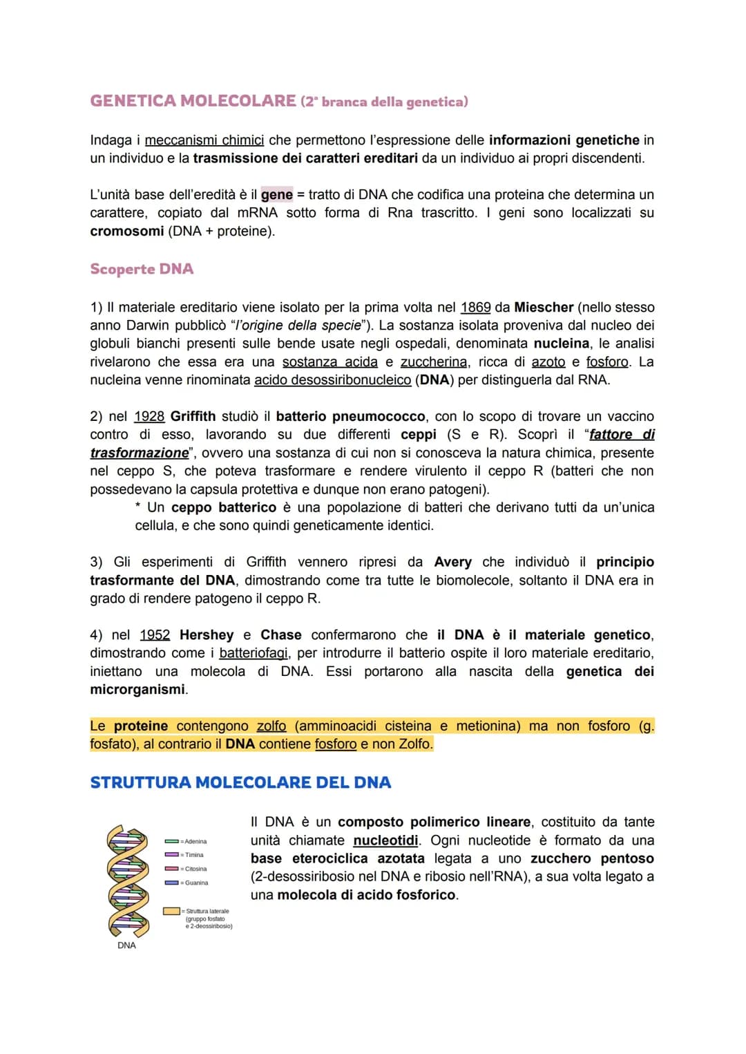 Genetica molecolare 