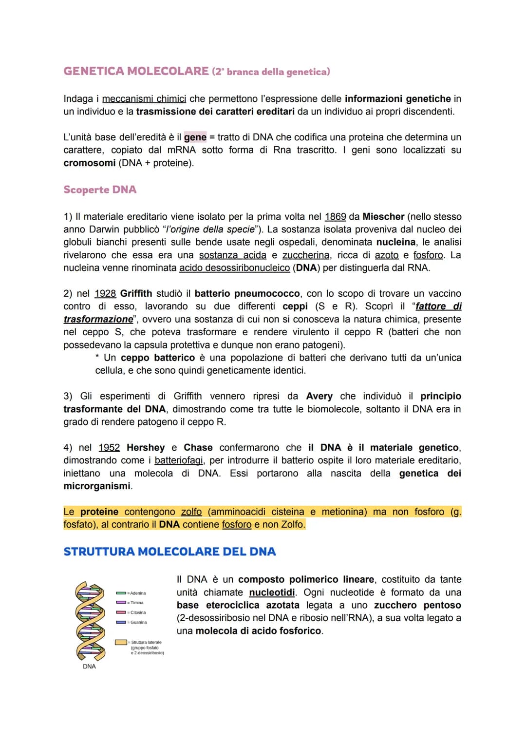GENETICA MOLECOLARE (2ª branca della genetica)
Indaga i meccanismi chimici che permettono l'espressione delle informazioni genetiche in
un i