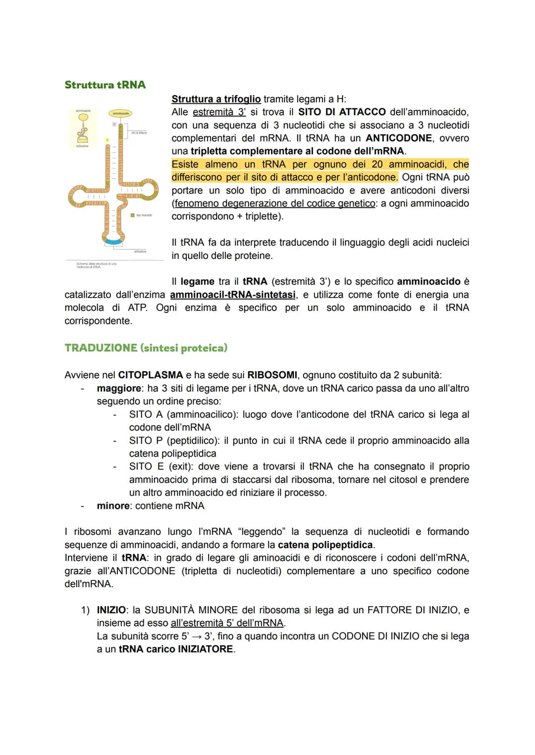 GENETICA MOLECOLARE (2ª branca della genetica)
Indaga i meccanismi chimici che permettono l'espressione delle informazioni genetiche in
un i