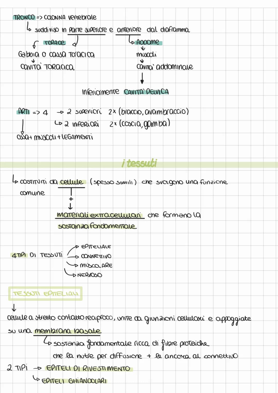 ANATOMIA FISIOLOGIA
FISIOLOGIA => STudia i meccanismi di funzionamento del corpo
ANATOMIA => STudia la struttura corporea degli organismi
su
