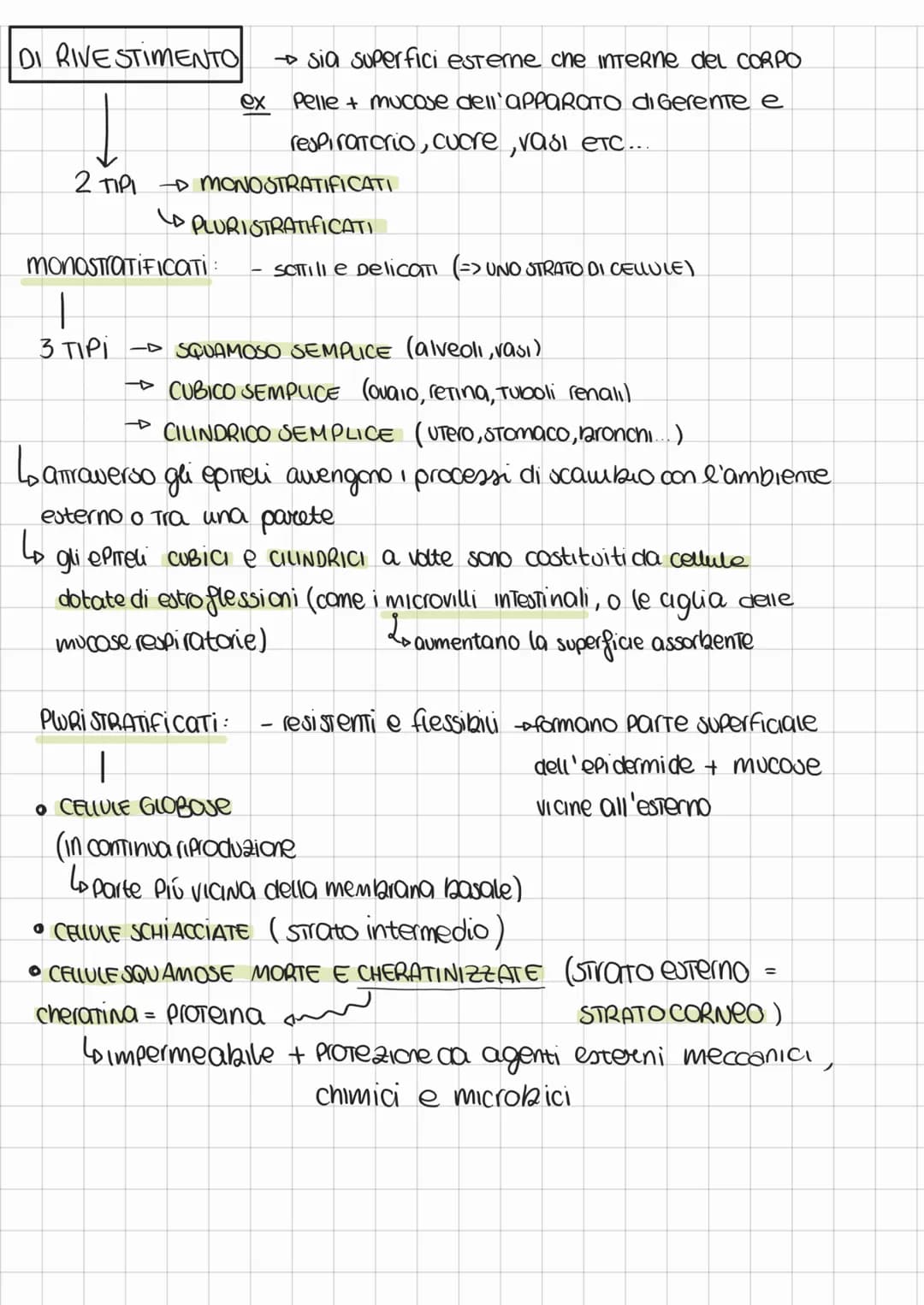 ANATOMIA FISIOLOGIA
FISIOLOGIA => STudia i meccanismi di funzionamento del corpo
ANATOMIA => STudia la struttura corporea degli organismi
su