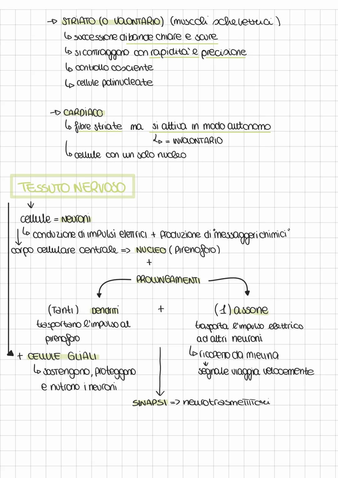 ANATOMIA FISIOLOGIA
FISIOLOGIA => STudia i meccanismi di funzionamento del corpo
ANATOMIA => STudia la struttura corporea degli organismi
su