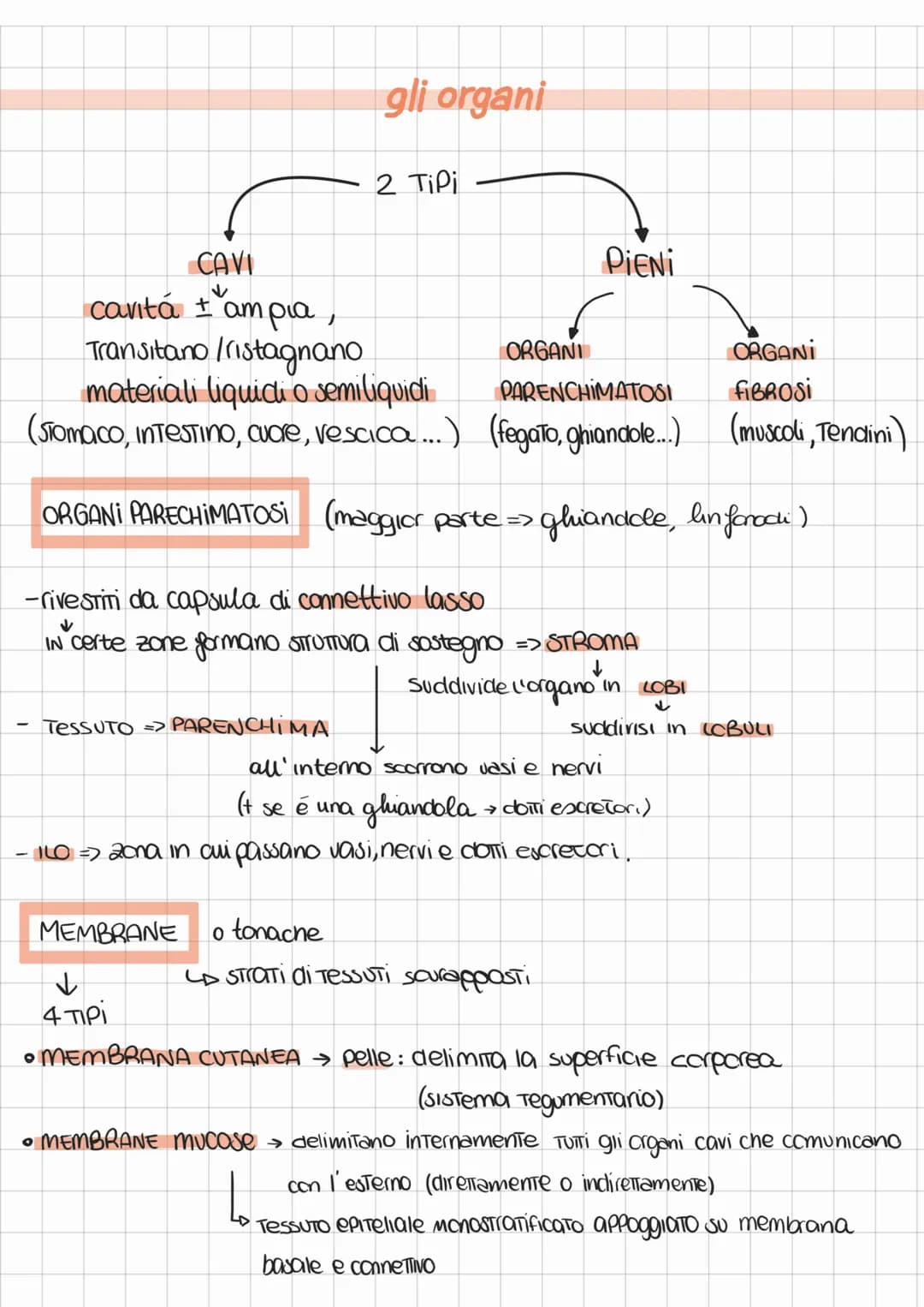 ANATOMIA FISIOLOGIA
FISIOLOGIA => STudia i meccanismi di funzionamento del corpo
ANATOMIA => STudia la struttura corporea degli organismi
su