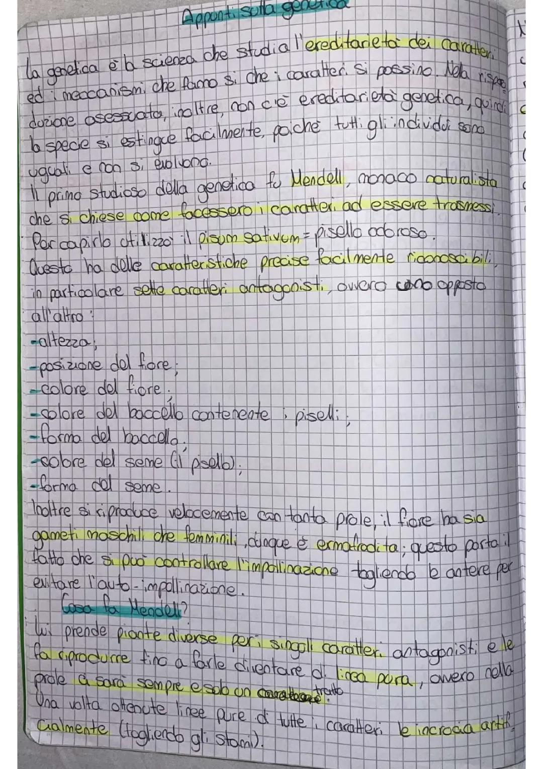 Le leggi di Mendel e il Quadrato di Punnett spiegati ai bambini