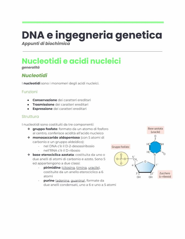 Know Dna, ingegneria genetica e biotecnologie thumbnail