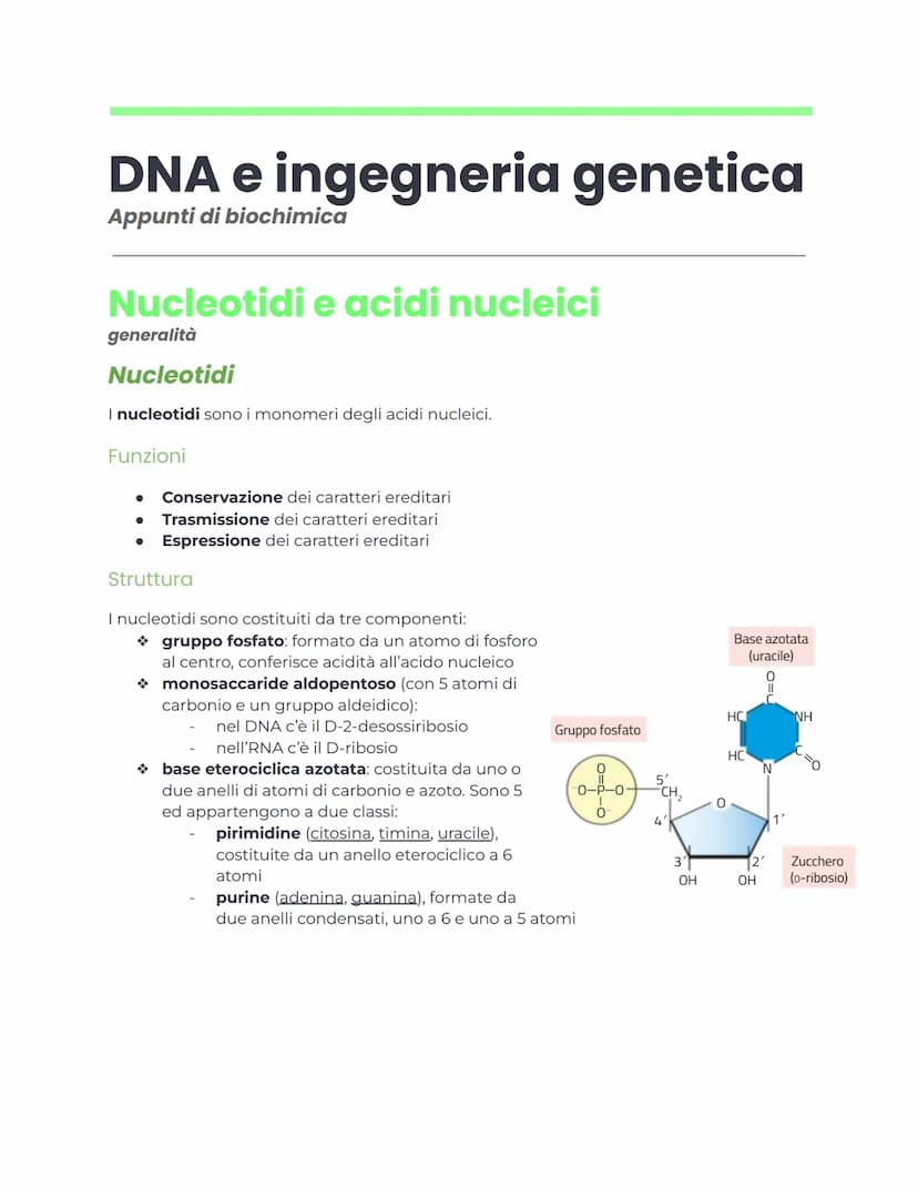 DNA e ingegneria genetica
Appunti di biochimica
Nucleotidi e acidi nucleici
generalità
Nucleotidi
I nucleotidi sono i monomeri degli acidi n