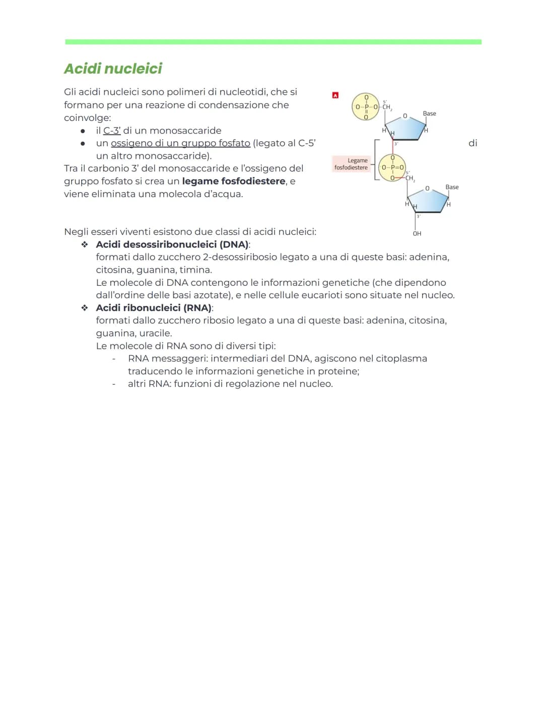DNA e ingegneria genetica
Appunti di biochimica
Nucleotidi e acidi nucleici
generalità
Nucleotidi
I nucleotidi sono i monomeri degli acidi n