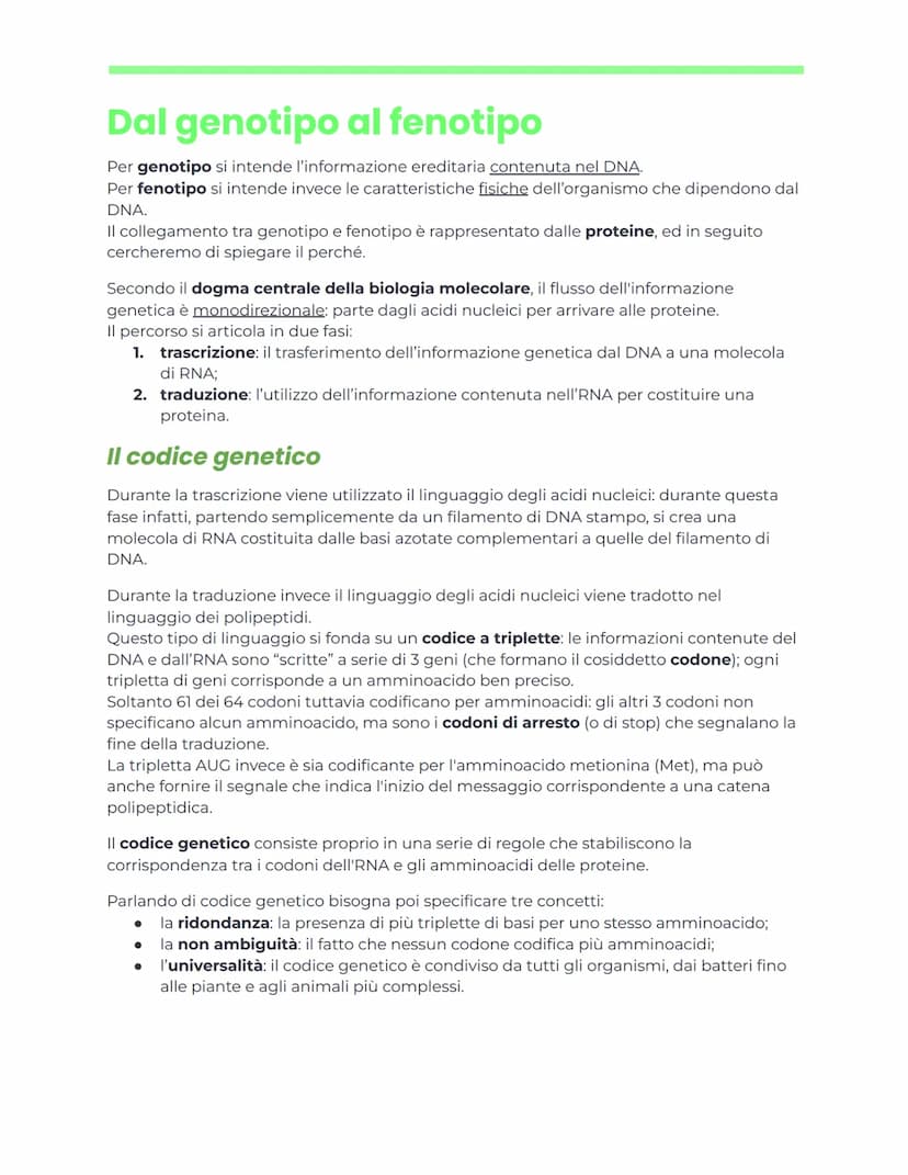 DNA e ingegneria genetica
Appunti di biochimica
Nucleotidi e acidi nucleici
generalità
Nucleotidi
I nucleotidi sono i monomeri degli acidi n