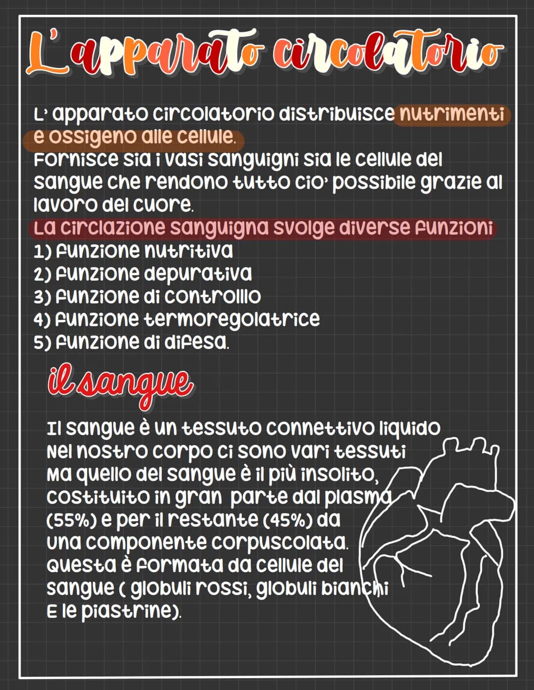 L'apparato circolatorio
L'apparato circolatorio distribuisce nutrimenti
e ossigeno alle cellule.
Fornisce sia i vasi sanguigni sia le cellul