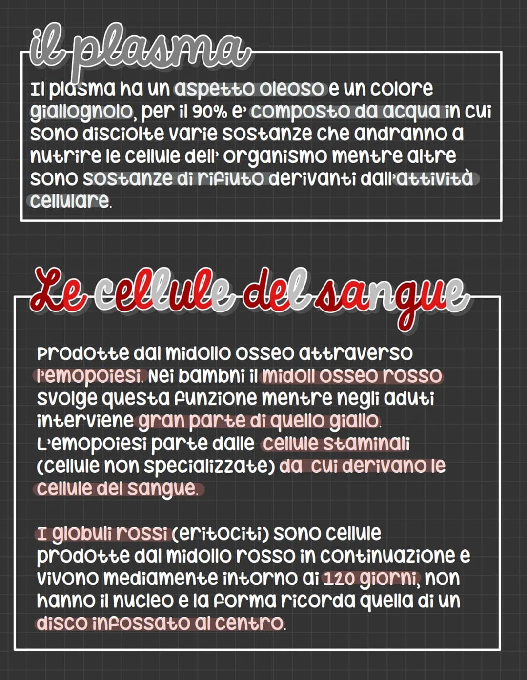 L'apparato circolatorio
L'apparato circolatorio distribuisce nutrimenti
e ossigeno alle cellule.
Fornisce sia i vasi sanguigni sia le cellul