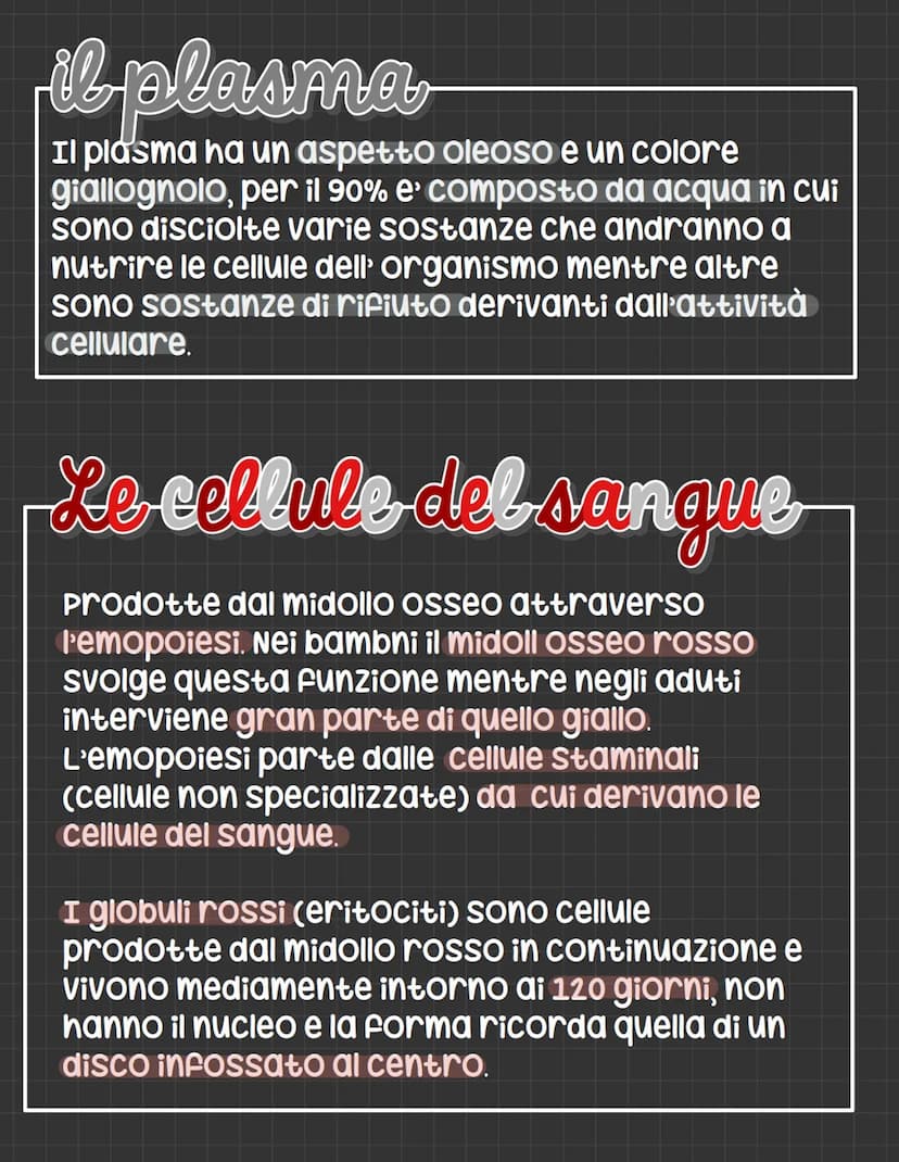 L'apparato circolatorio
L'apparato circolatorio distribuisce nutrimenti
e ossigeno alle cellule.
Fornisce sia i vasi sanguigni sia le cellul