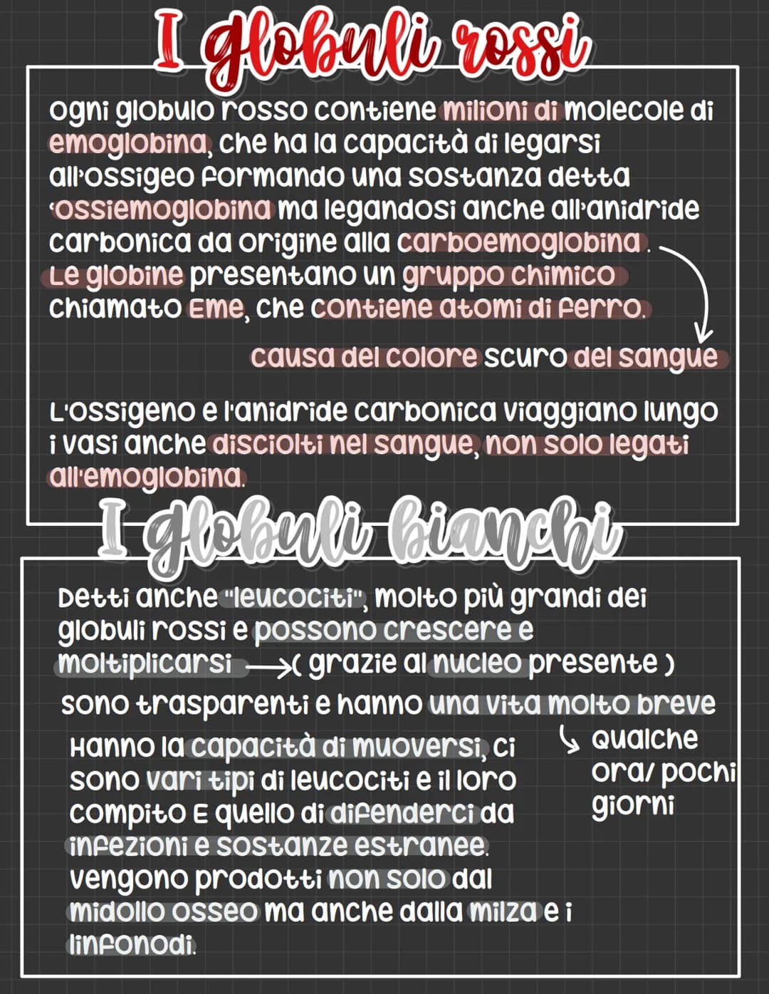 L'apparato circolatorio
L'apparato circolatorio distribuisce nutrimenti
e ossigeno alle cellule.
Fornisce sia i vasi sanguigni sia le cellul