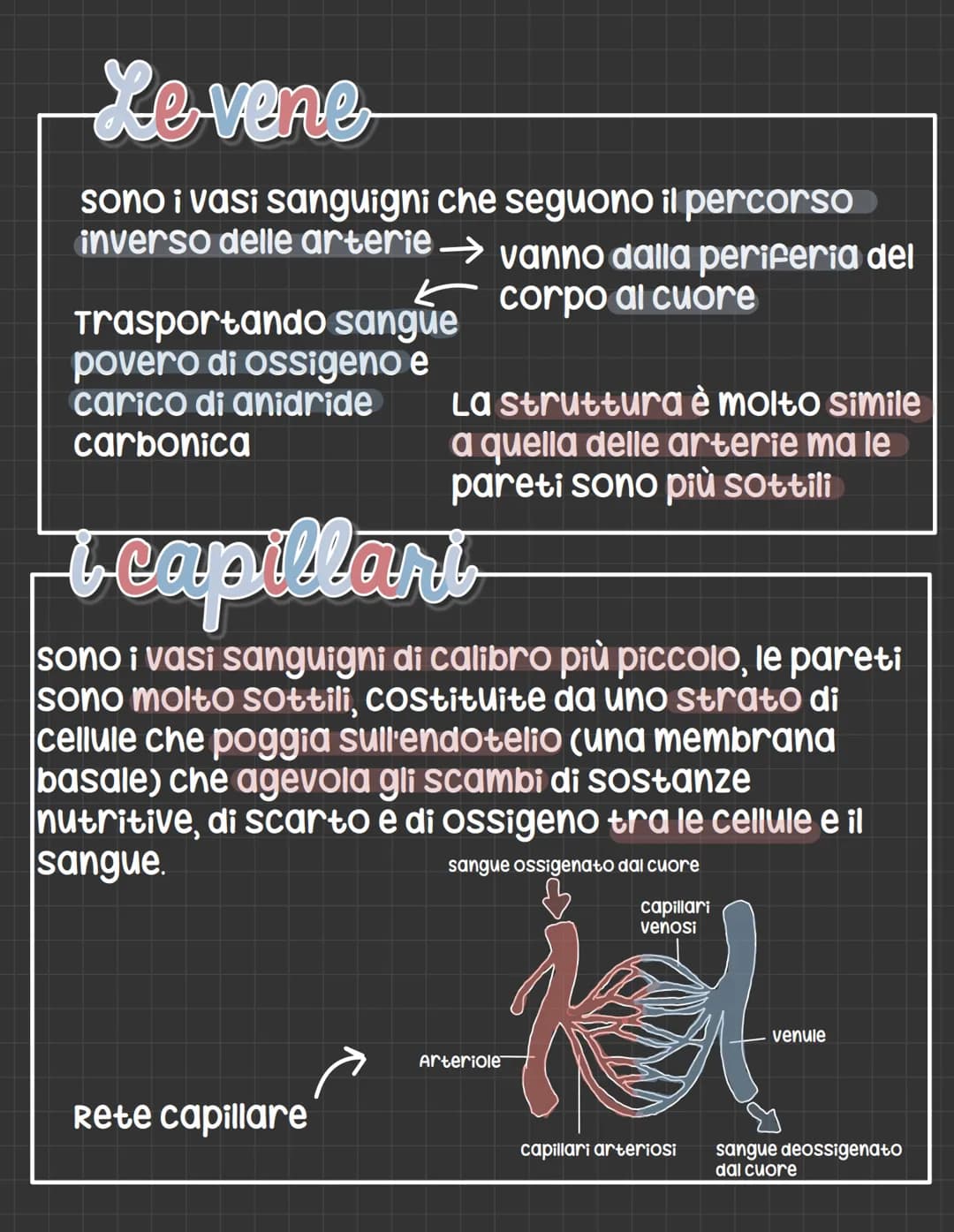 L'apparato circolatorio
L'apparato circolatorio distribuisce nutrimenti
e ossigeno alle cellule.
Fornisce sia i vasi sanguigni sia le cellul