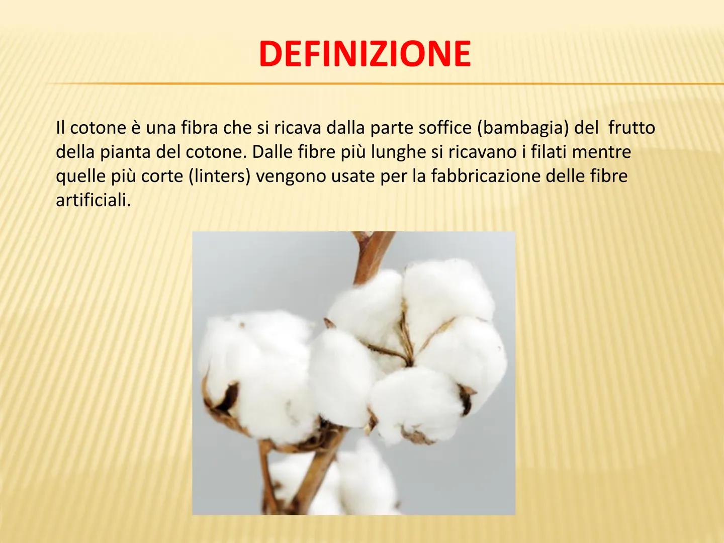LE FIBRE TESSILI DEFINIZIONI
Definizione: le fibre tessili sono materiali filamentosi che si prestano a essere
trasformati in filati e tessu
