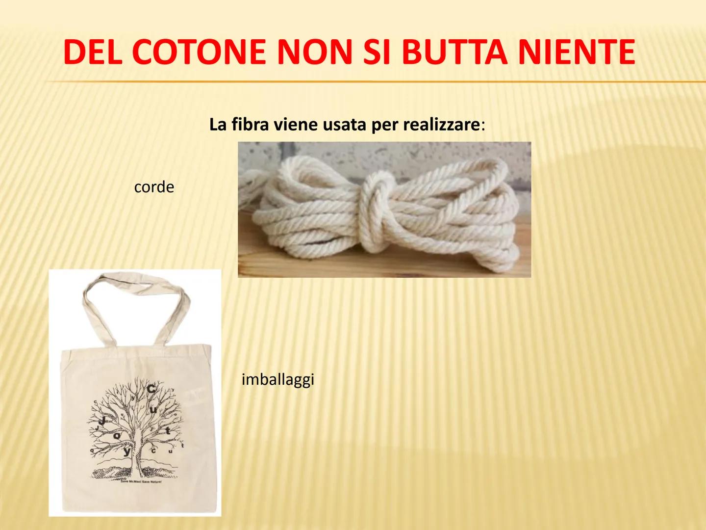 LE FIBRE TESSILI DEFINIZIONI
Definizione: le fibre tessili sono materiali filamentosi che si prestano a essere
trasformati in filati e tessu
