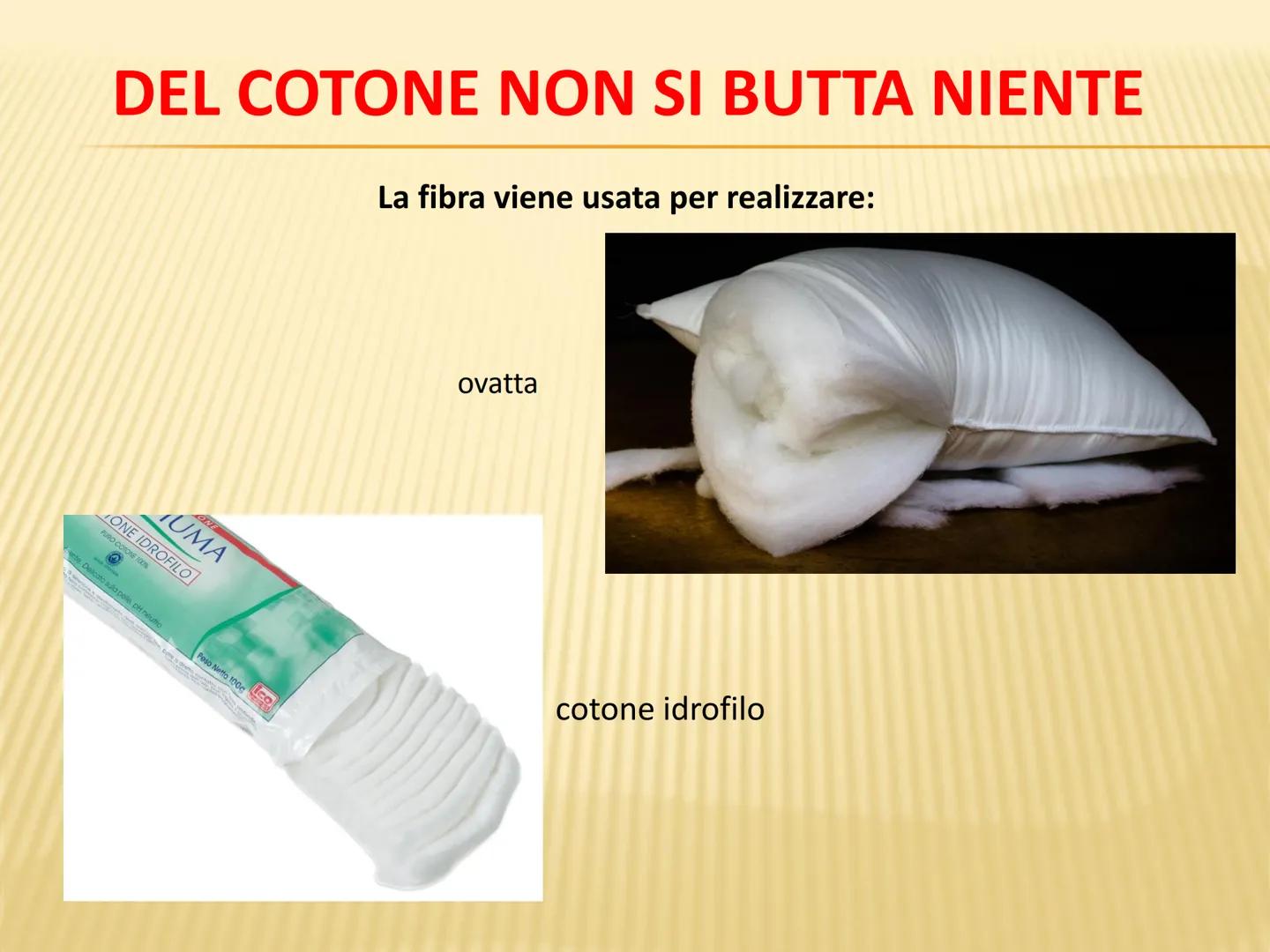 LE FIBRE TESSILI DEFINIZIONI
Definizione: le fibre tessili sono materiali filamentosi che si prestano a essere
trasformati in filati e tessu