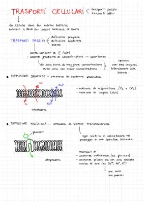 Know Trasporti Cellulari  thumbnail