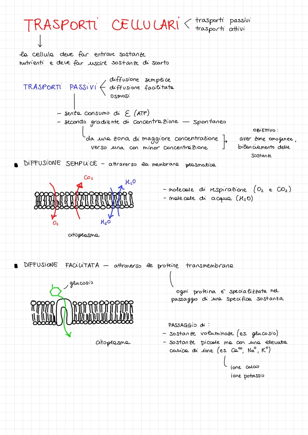 TRASPORTI CELLULARI < trasporti passivi
trasporti attivi
la cellule deve far entrare sostanze
nutrienti e deve far uscire sostanze di scarto