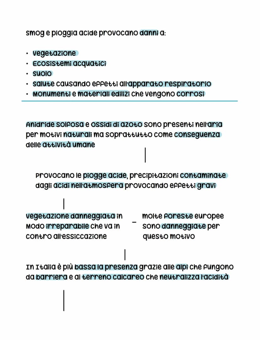 Inquinamento atmosferico
La concentrazione delle attività delle aree urbane provoca
l'inquinamento atmosferico. I principali fattori sono:
l