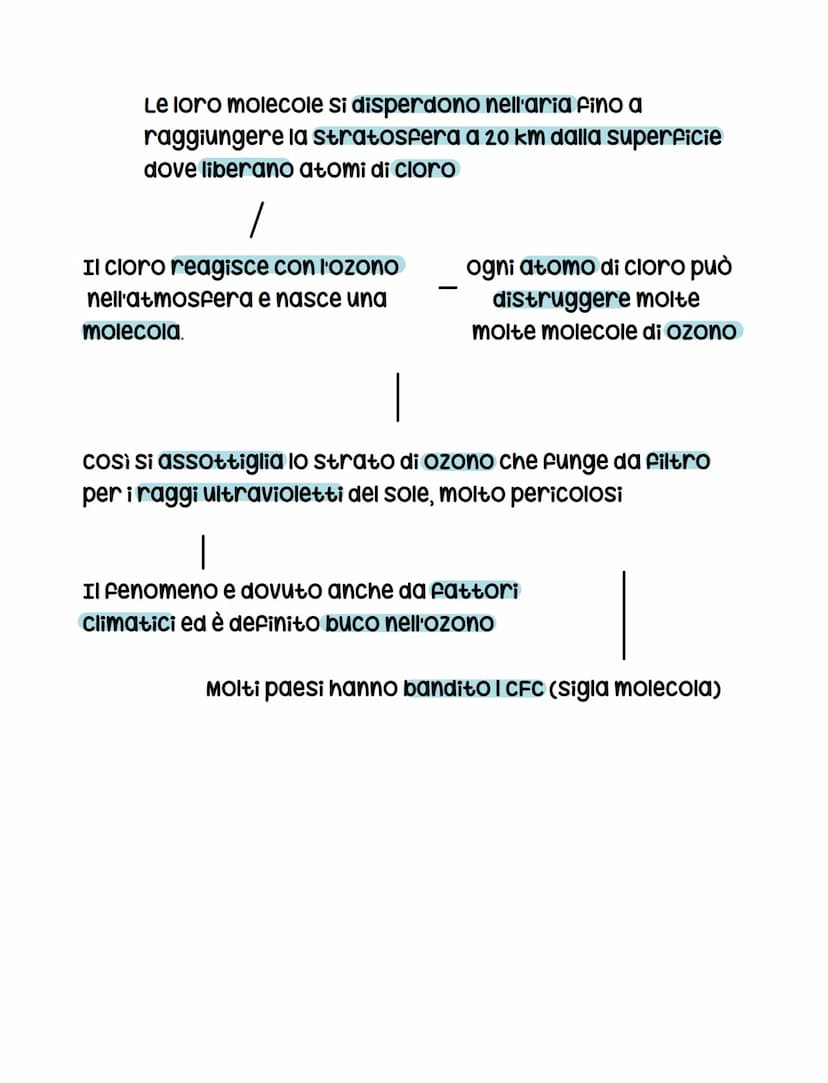 Inquinamento atmosferico
La concentrazione delle attività delle aree urbane provoca
l'inquinamento atmosferico. I principali fattori sono:
l