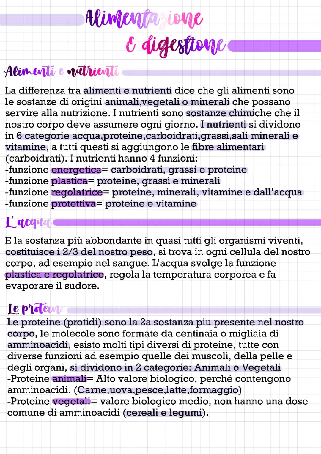 l’alimentazione e la digestione 