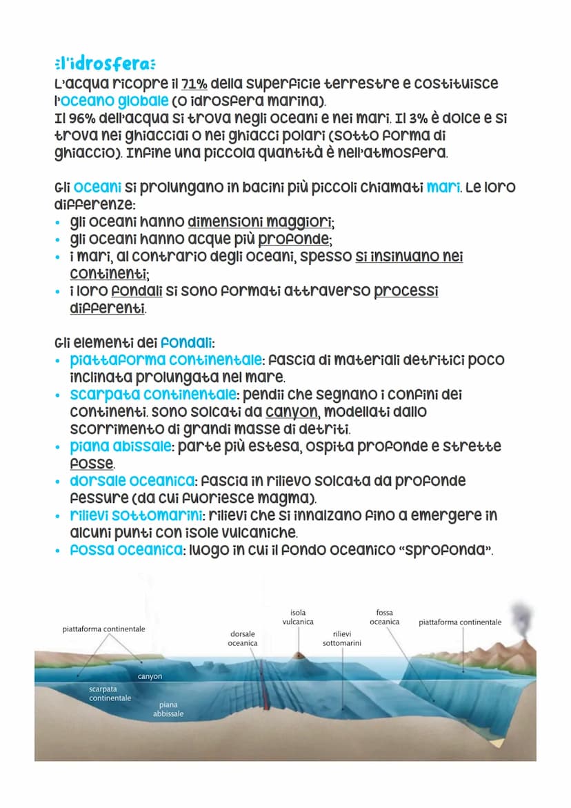 -L'idroegera marina-
il ciclo dell'acqua:
L'acqua passa continuamente da uno stato all'altro (tra oceani
e mari, atmosfera, terre emerse) se