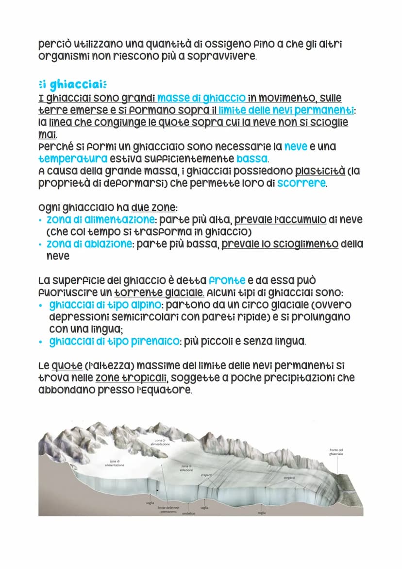 -L'idroegera marina-
il ciclo dell'acqua:
L'acqua passa continuamente da uno stato all'altro (tra oceani
e mari, atmosfera, terre emerse) se